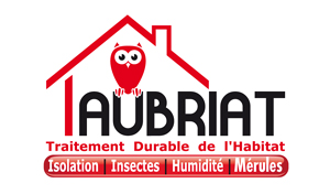 aubriat merule humidité charpente portfolio