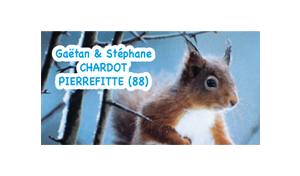 stéphane chardot élagage portfolio