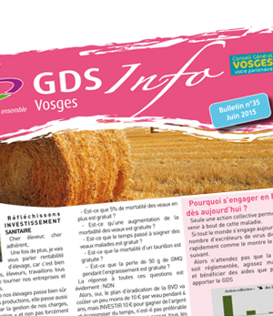  GDS vosges lorraine dépliant   portfolio